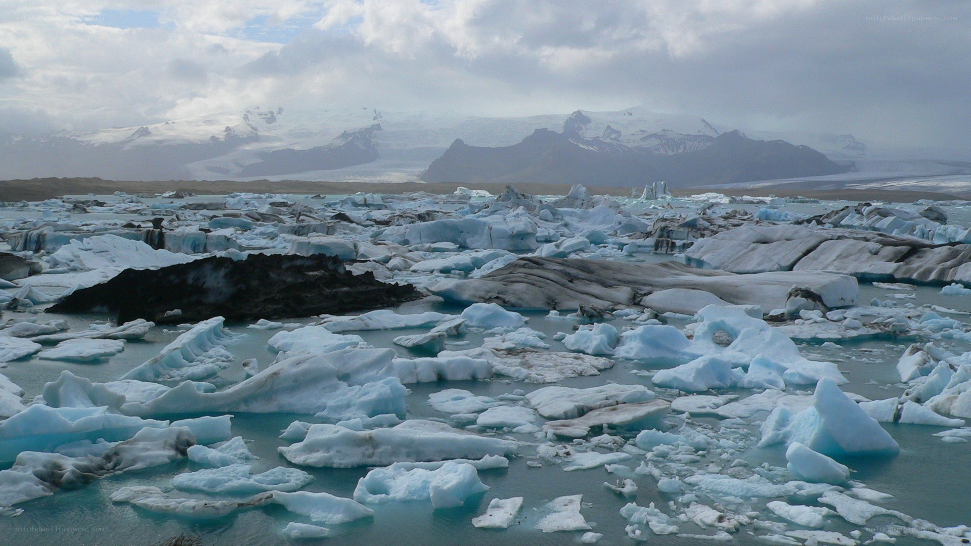 icebergs in glacial lagoon