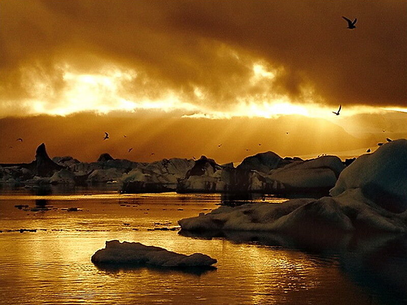 Icebergs in Golden Light