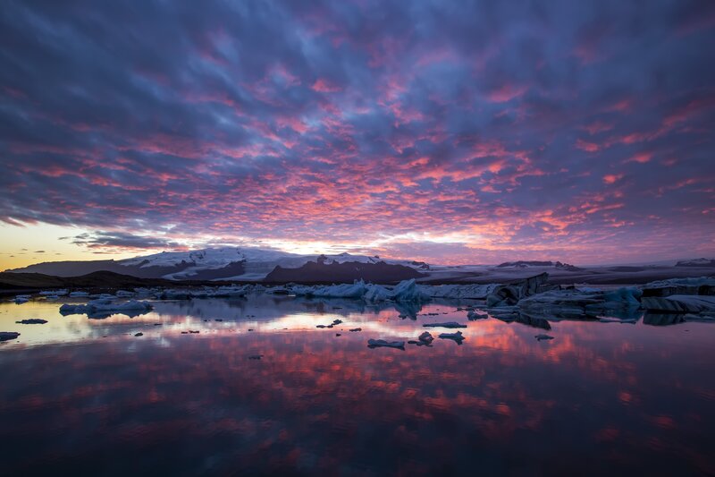 Icebergs in Lagoon — Purple