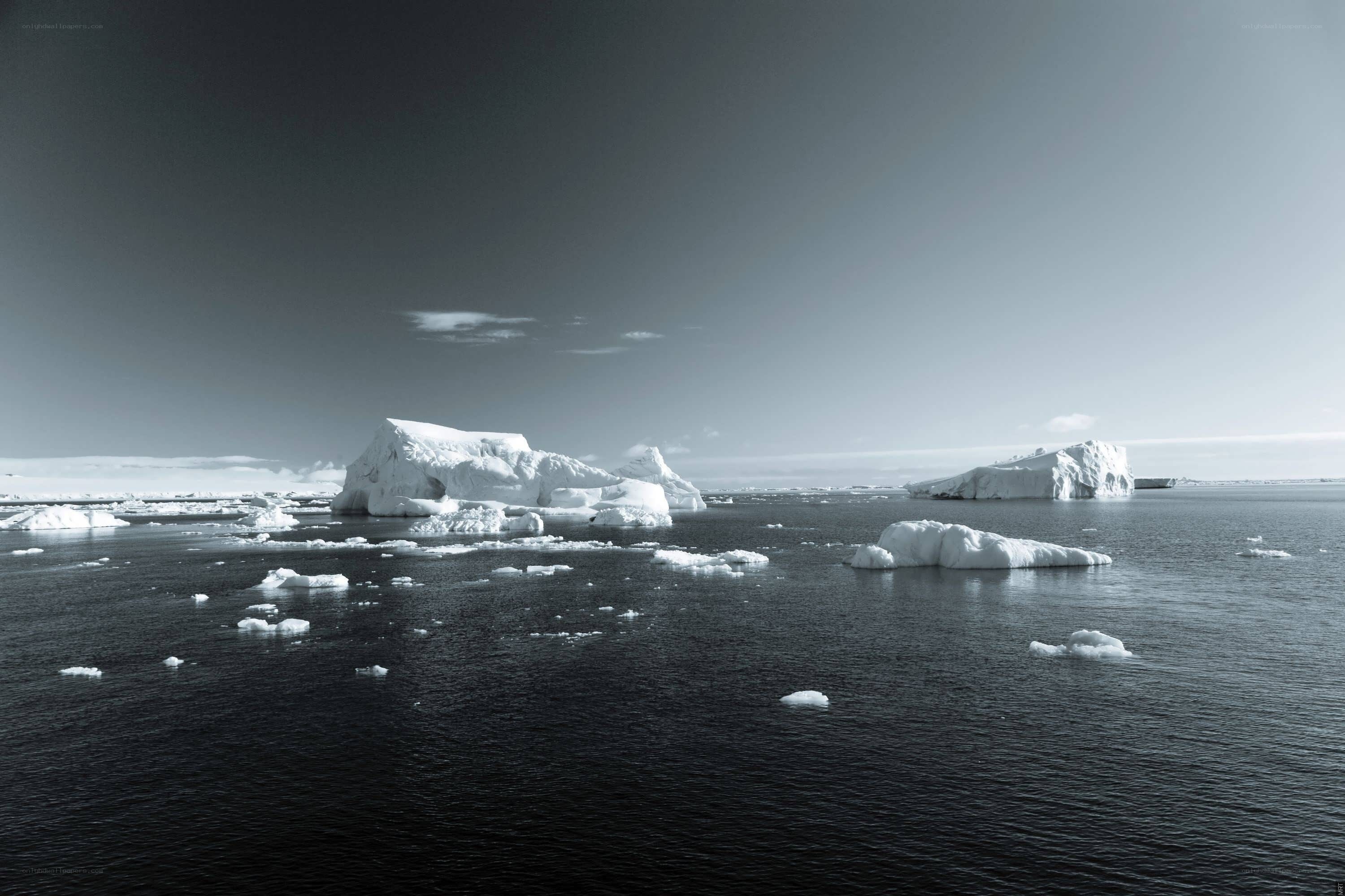 Icebergs in open water