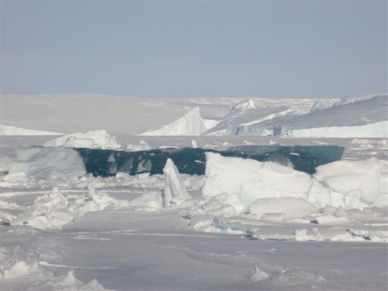 Icebergs in Polar Region — White