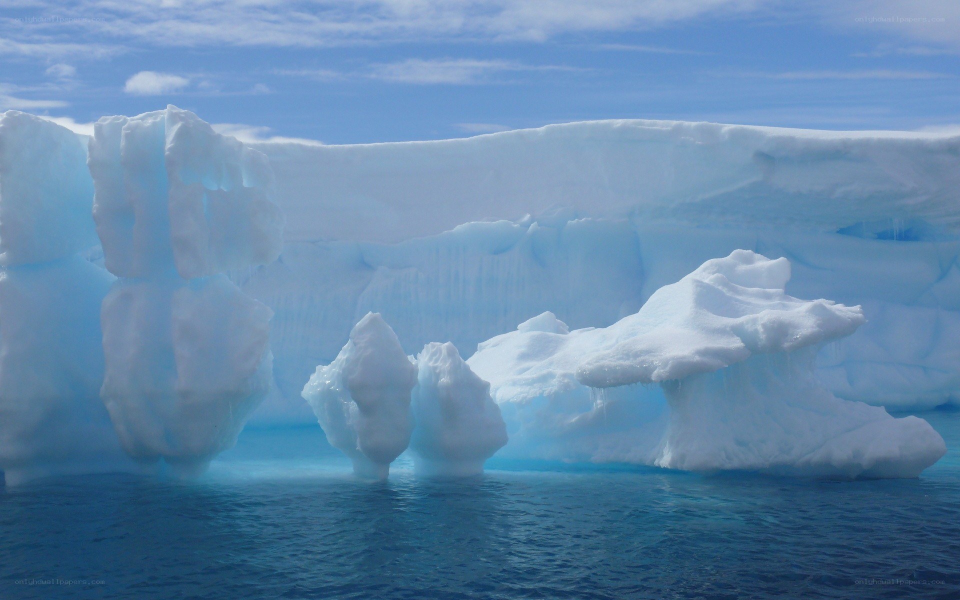 Icebergs in the ocean