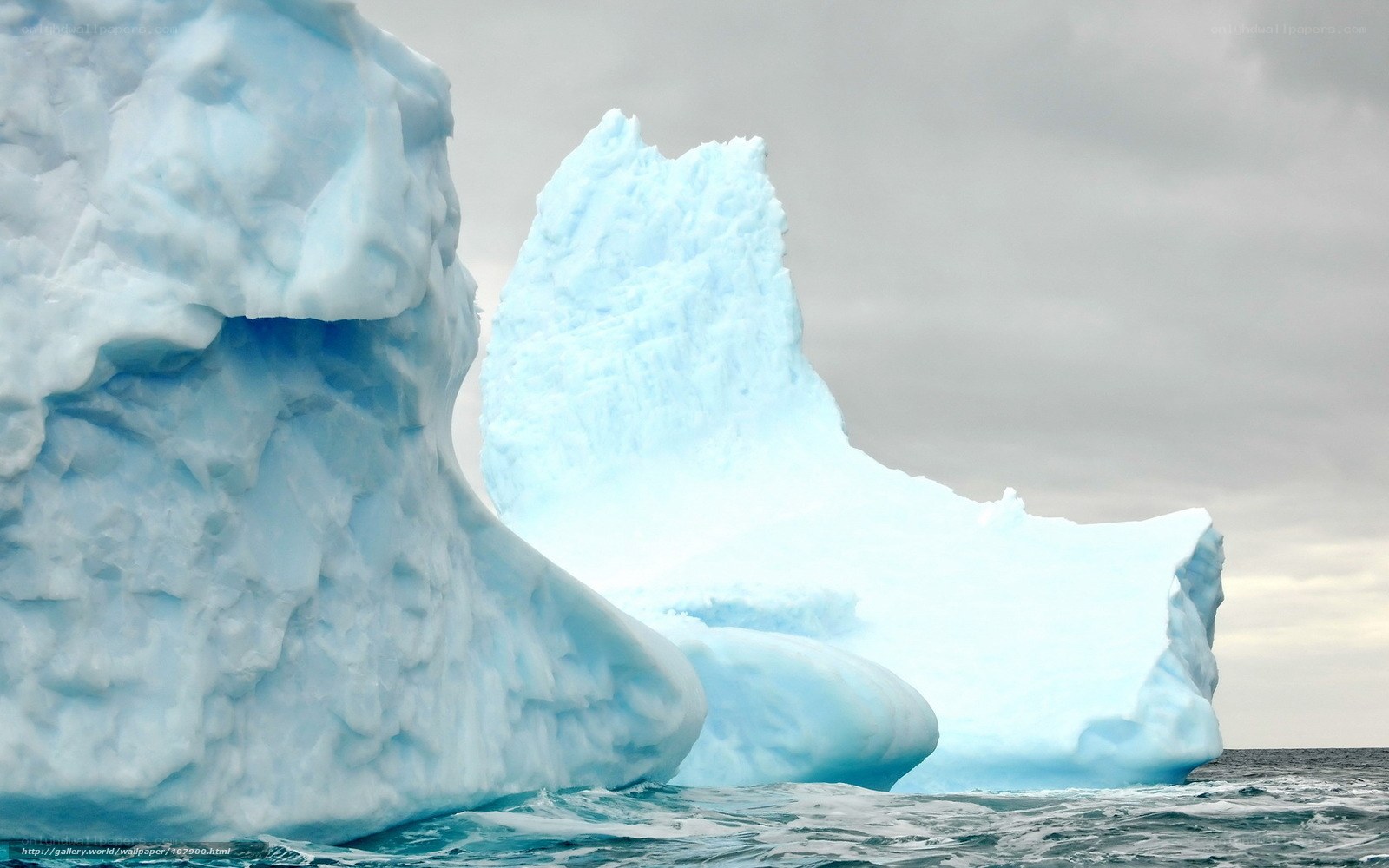 Icebergs in the ocean