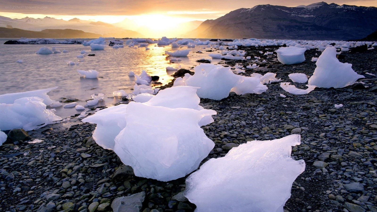 Icebergs on a pebble beach