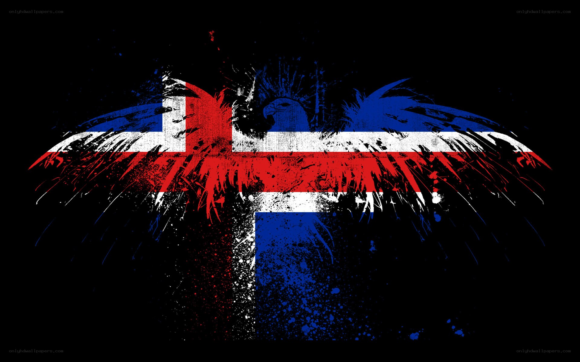 Iceland flag with eagle wings