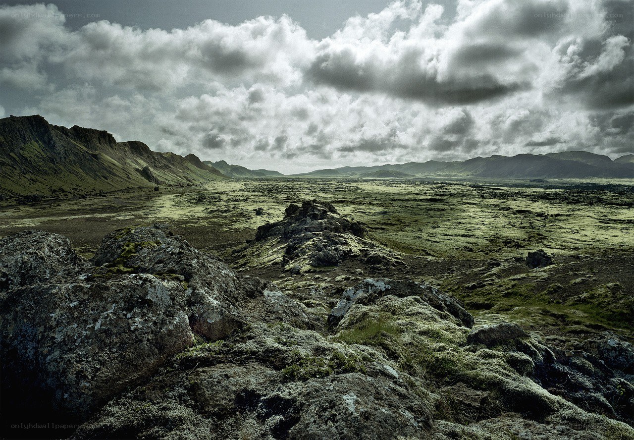 Icelandic lava field landscape
