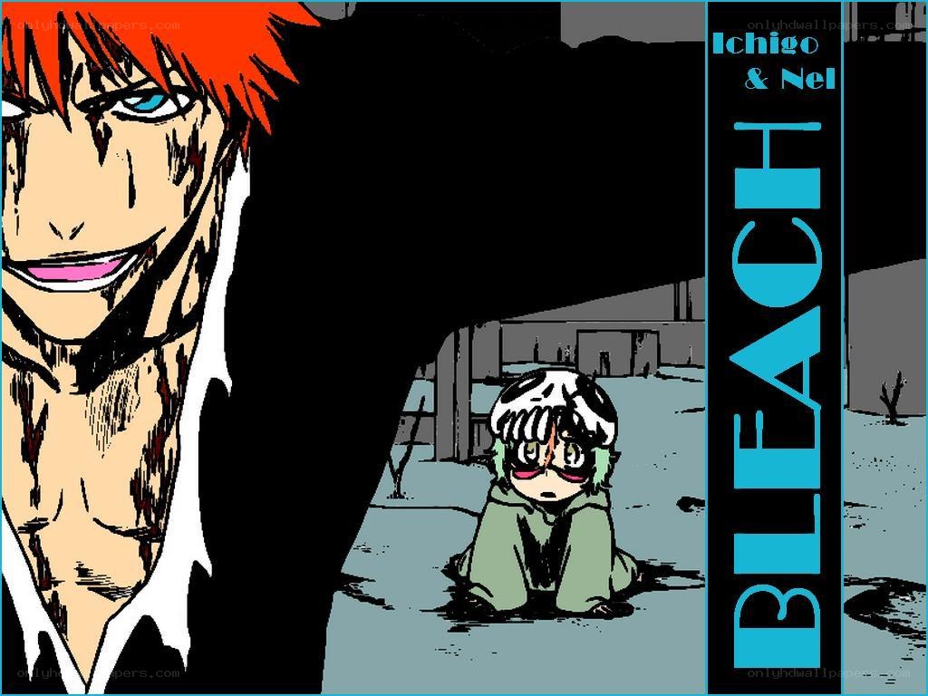Ichigo and Nel in Bleach