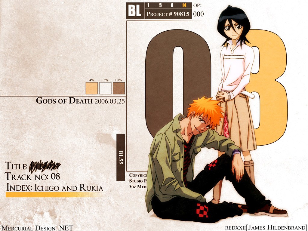 Ichigo and Rukia artwork