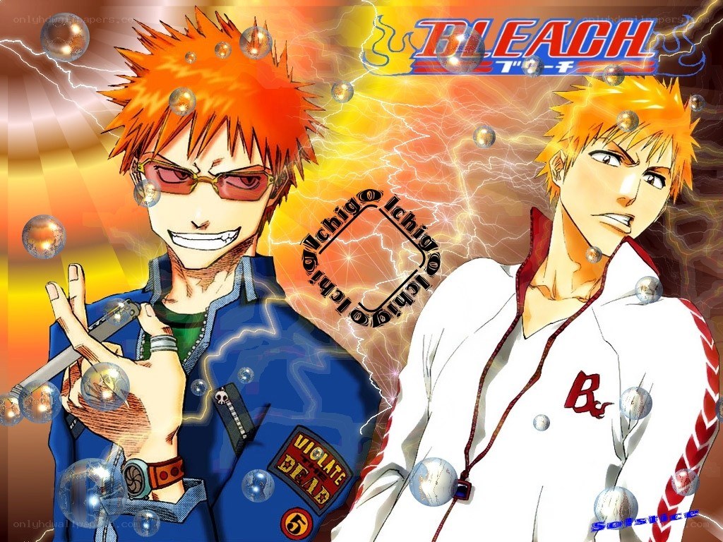 Ichigo and Uryu from Bleach