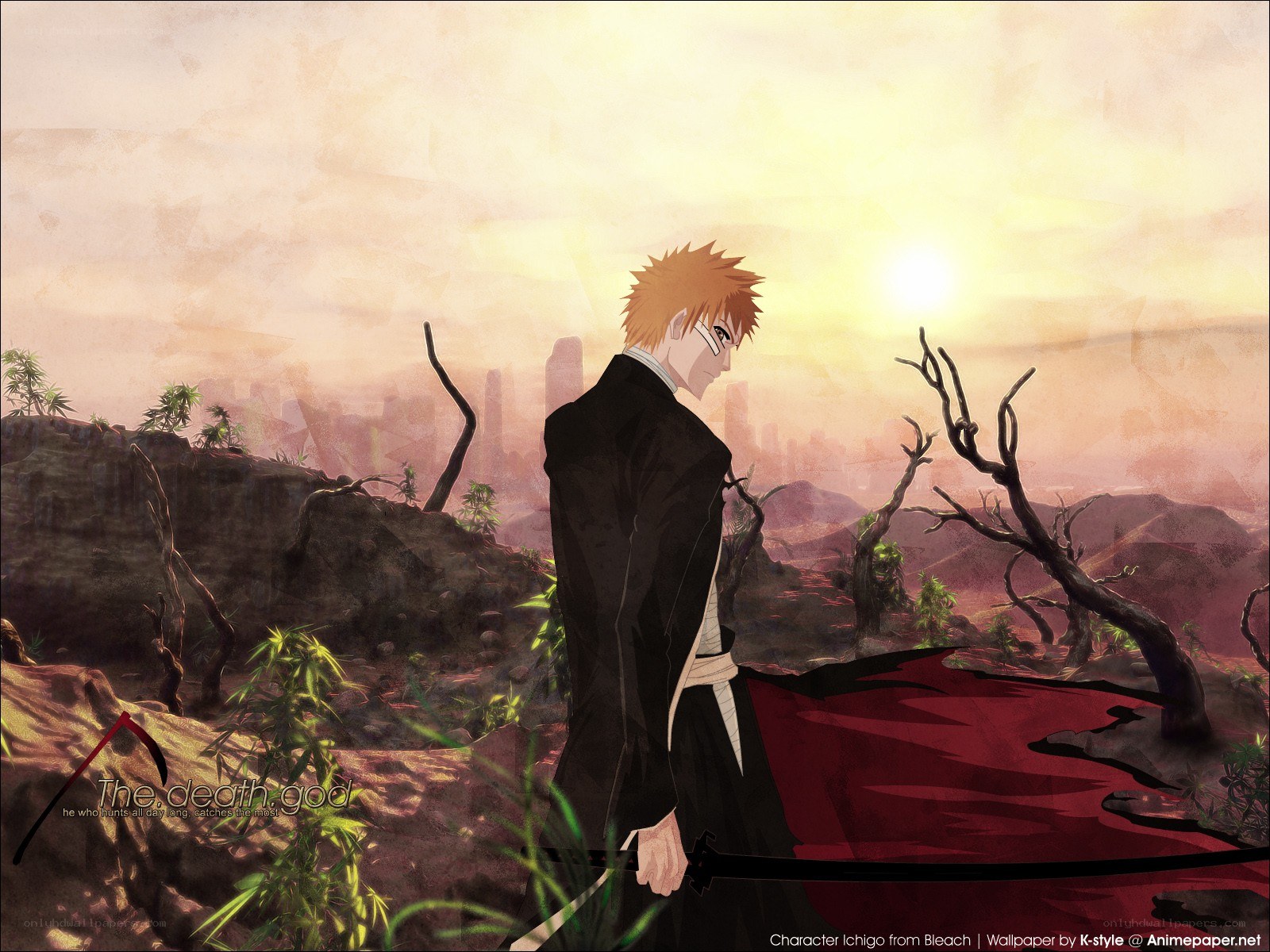 Ichigo in a desolate landscape