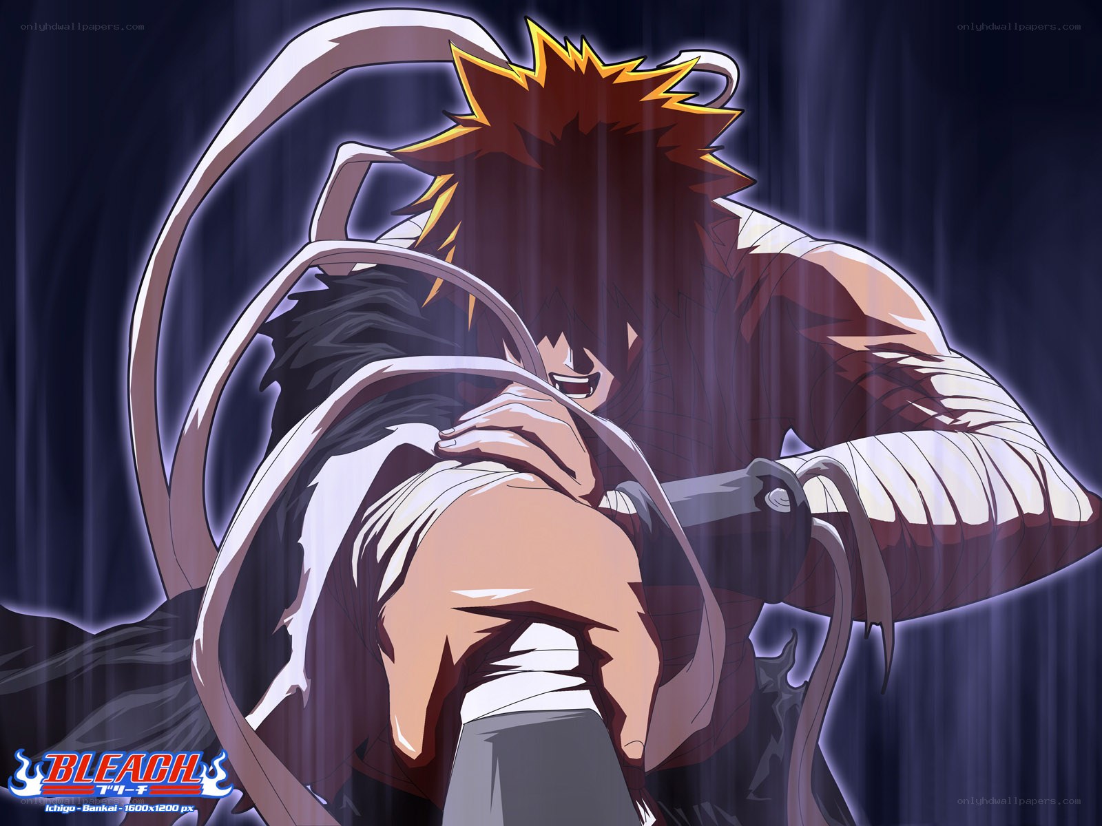 Ichigo in Bankai form