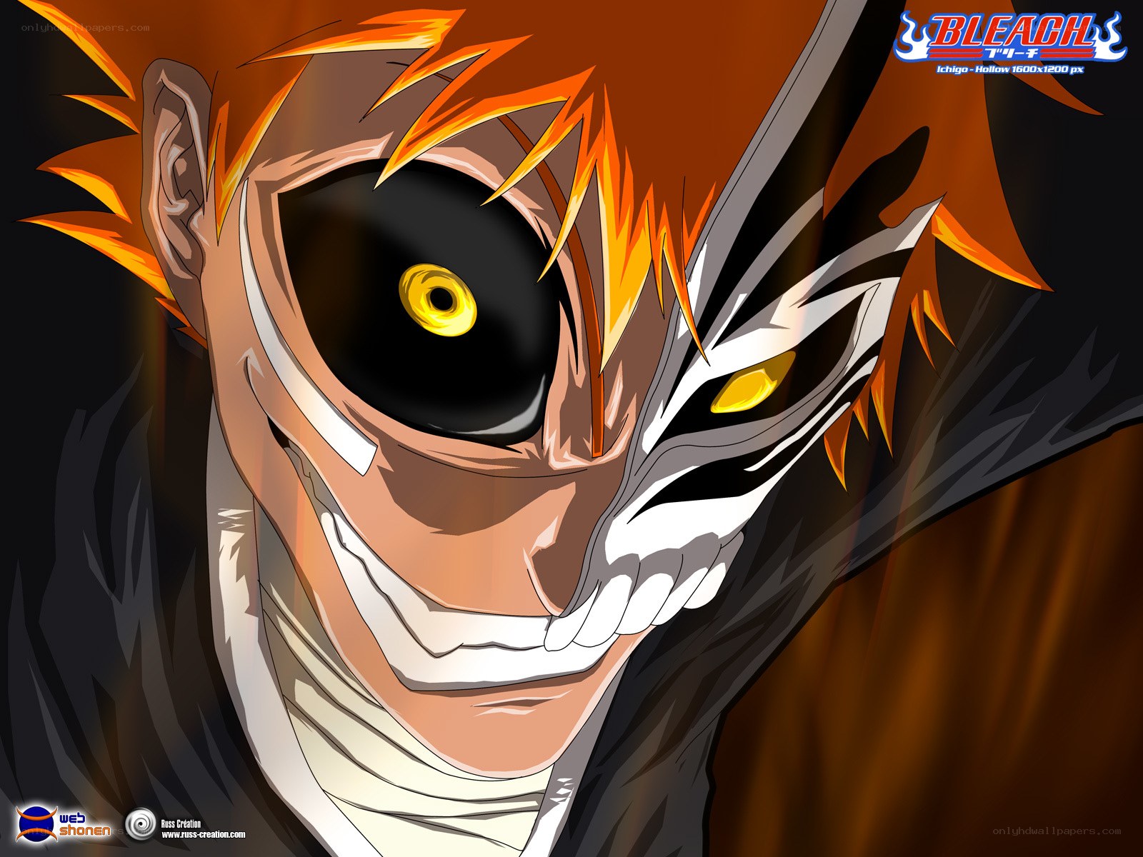 Ichigo in Hollow form