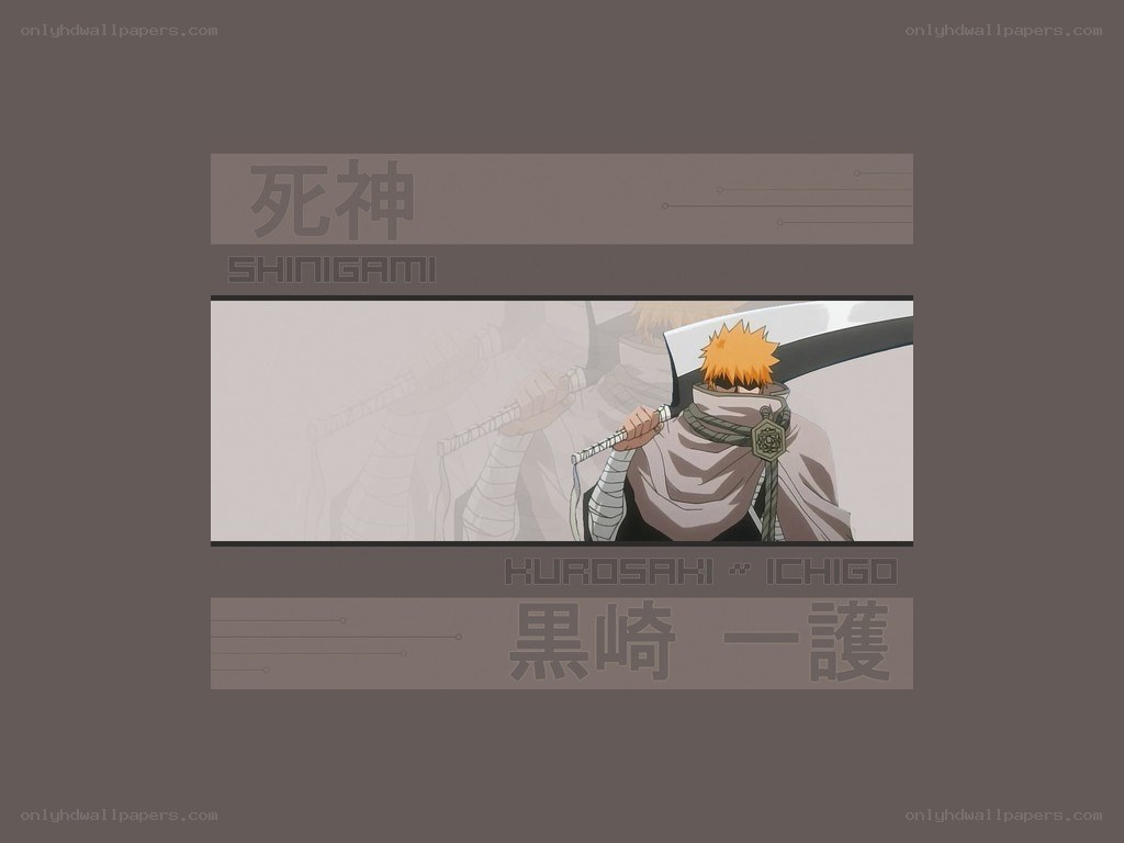 Ichigo Kurosaki from Bleach