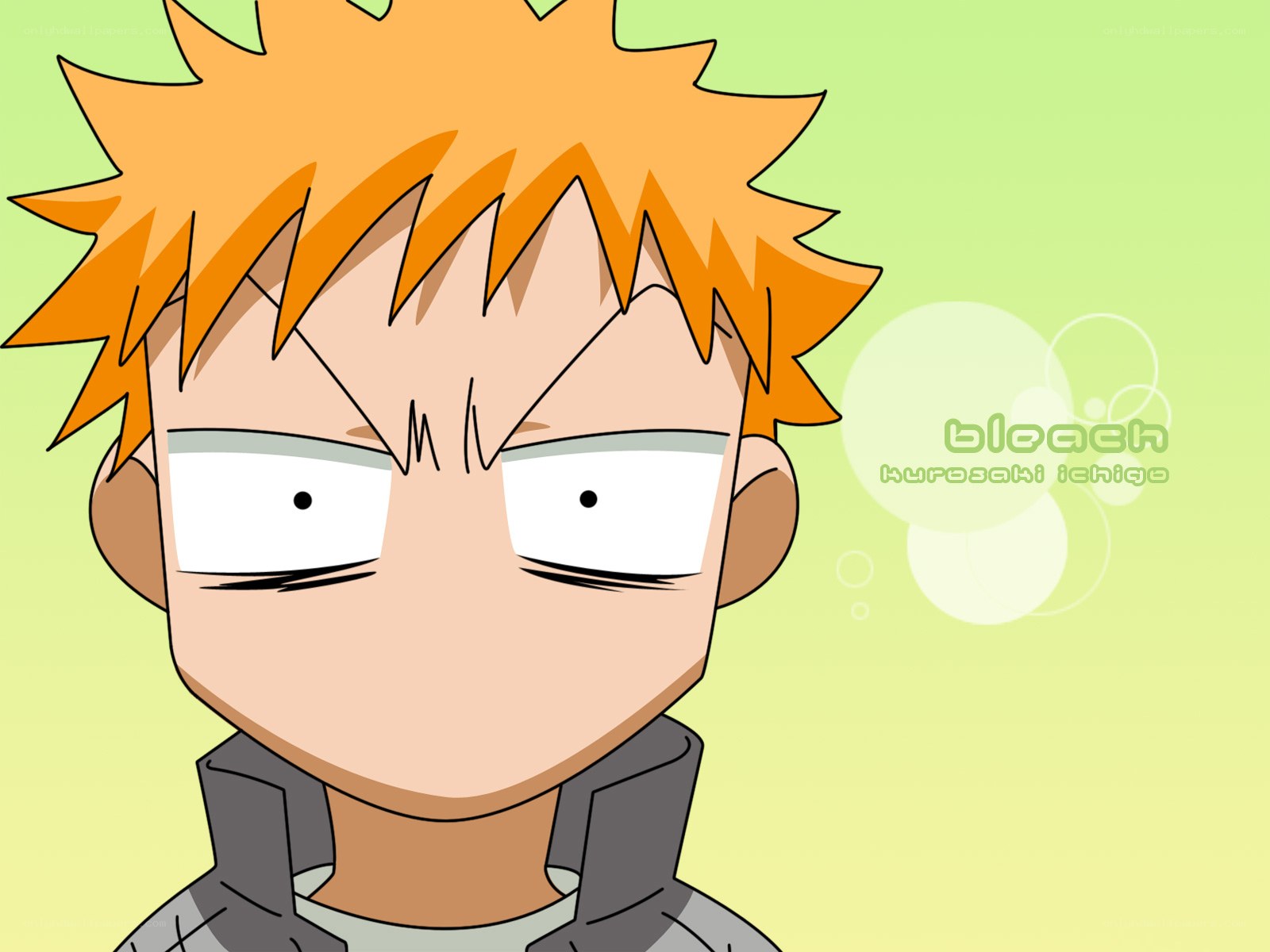 Ichigo Kurosaki from Bleach