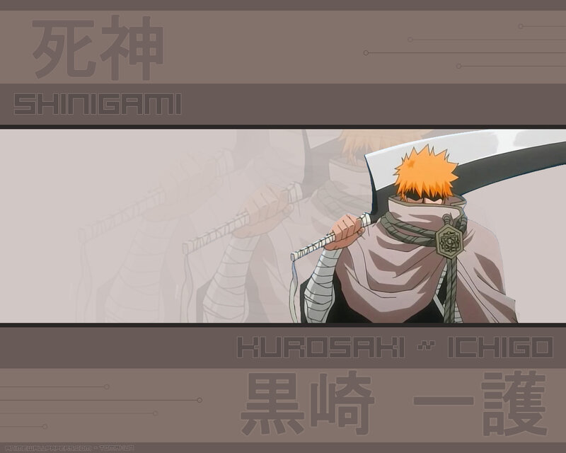 Ichigo Kurosaki from Bleach
