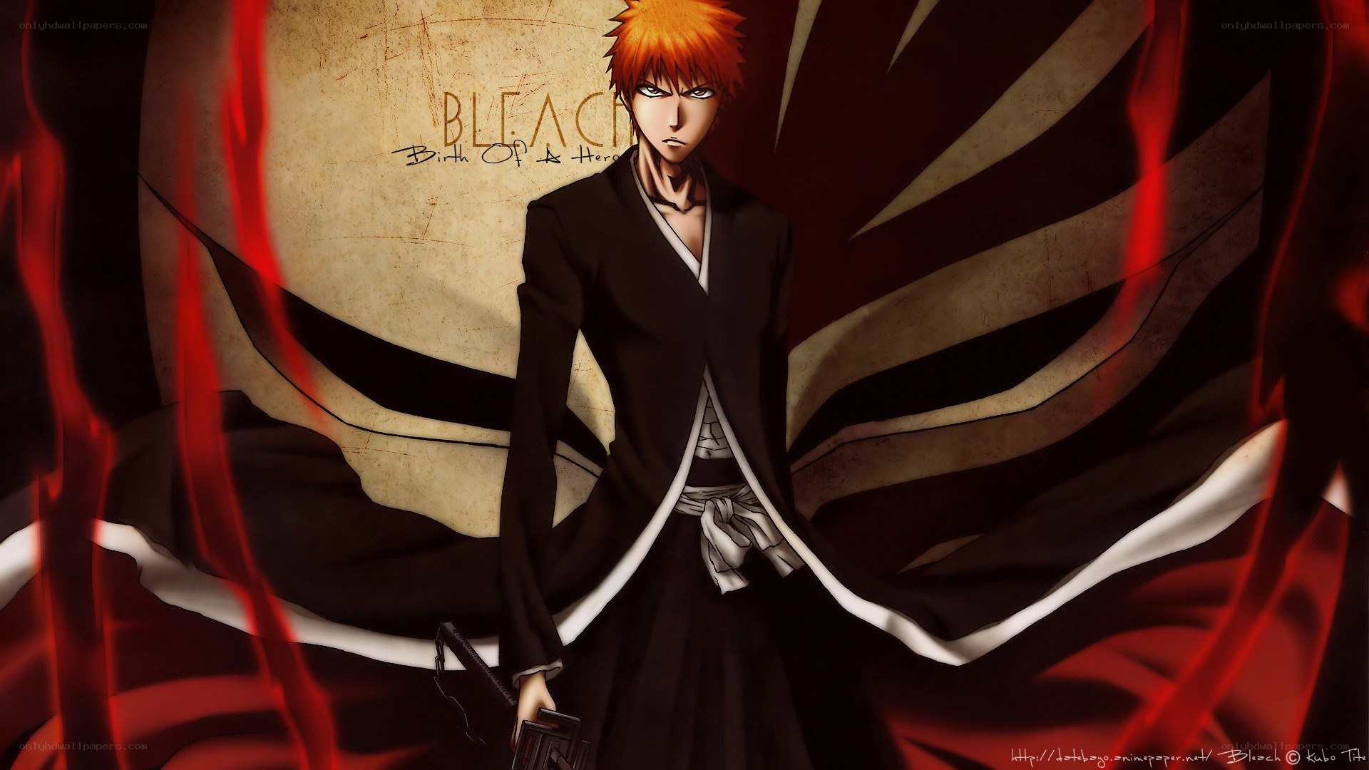 Ichigo Kurosaki from Bleach