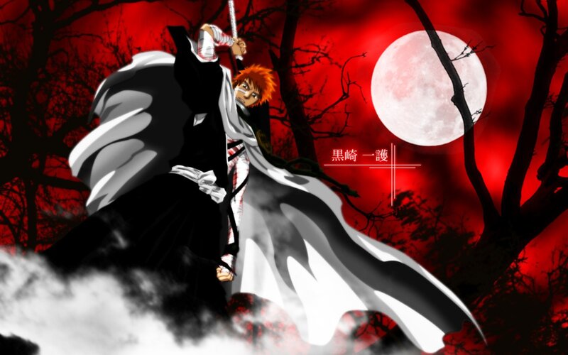 Ichigo Kurosaki in battle