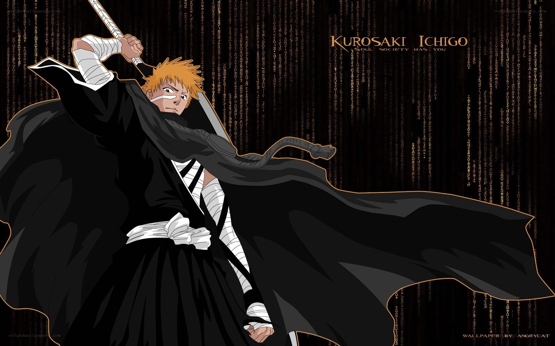 Ichigo Kurosaki in battle