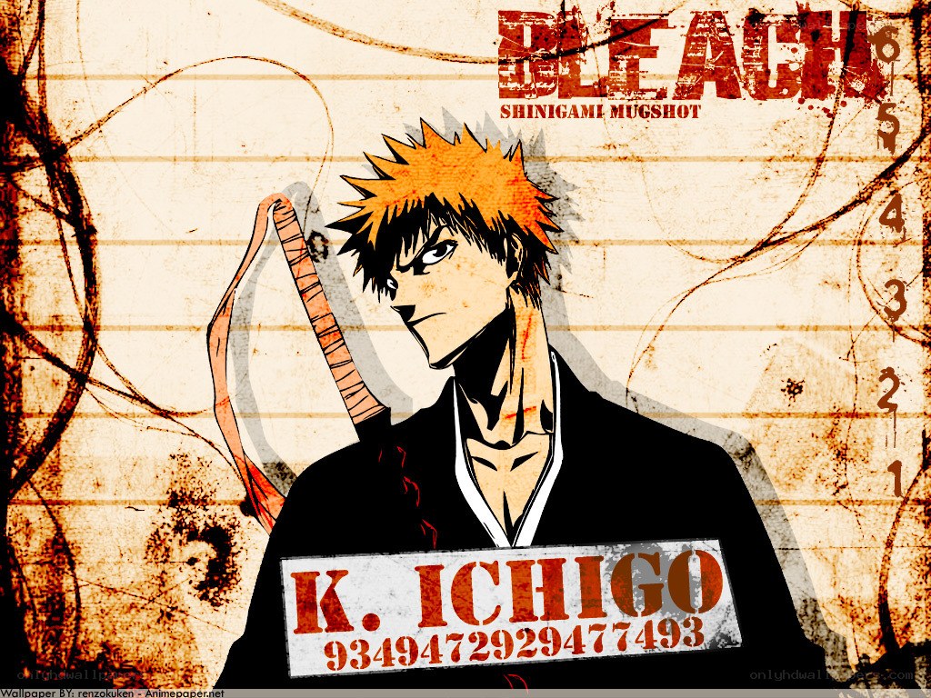 Ichigo Kurosaki mugshot