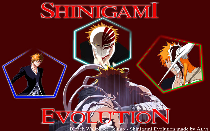 Ichigo Shinigami Evolution