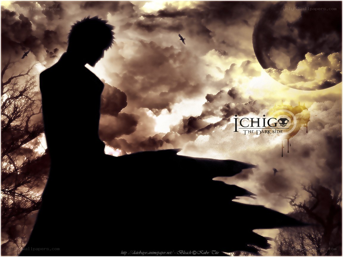 Ichigo silhouette at dusk