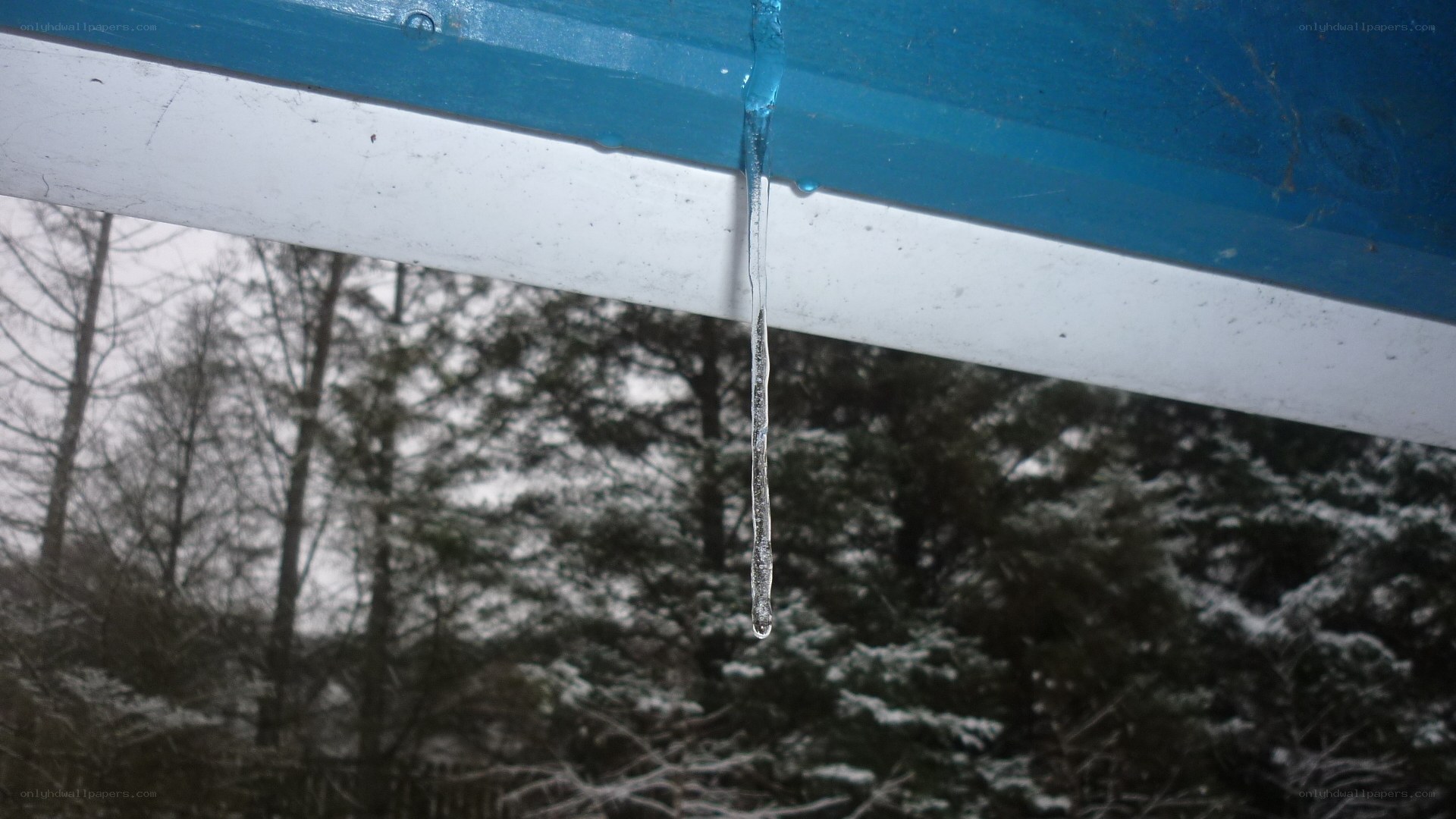 Icicle hanging from a roof
