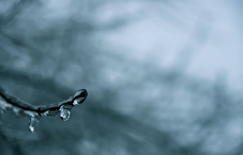 Icicle on a Branch — Blue