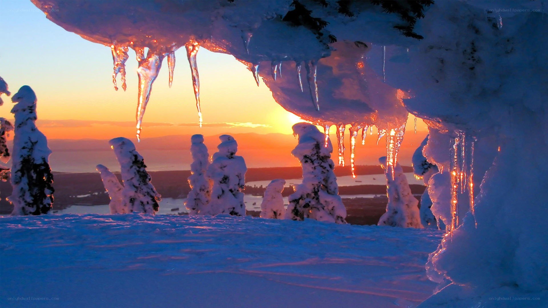 Icicles at sunset over snowy landscape