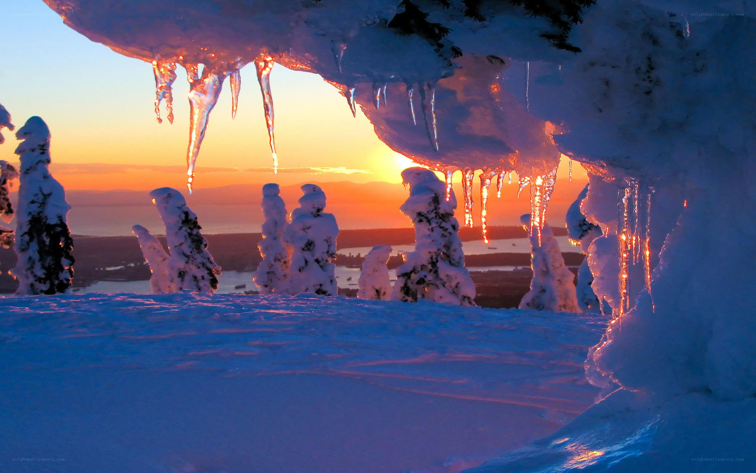 Icicles at sunset over snowy landscape