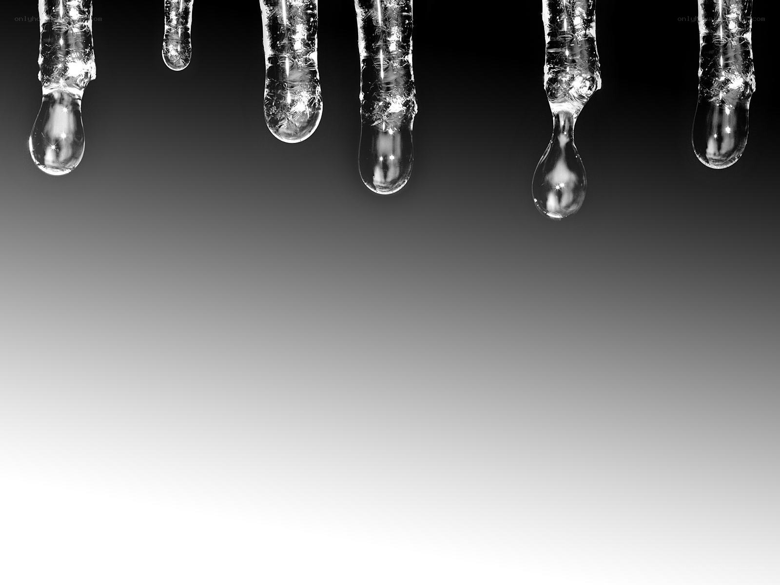 Icicles dripping water