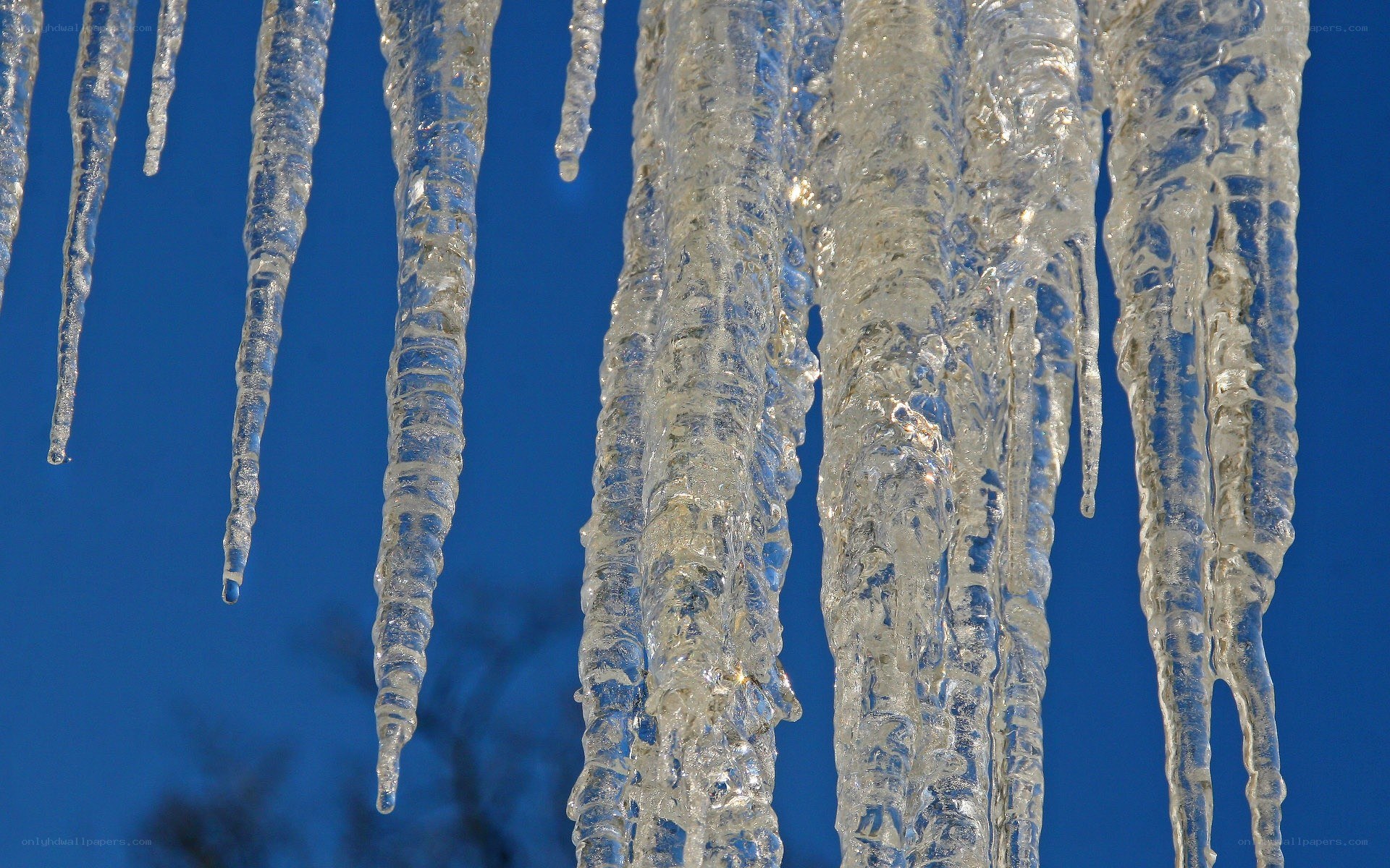 Icicles hanging against blue sky