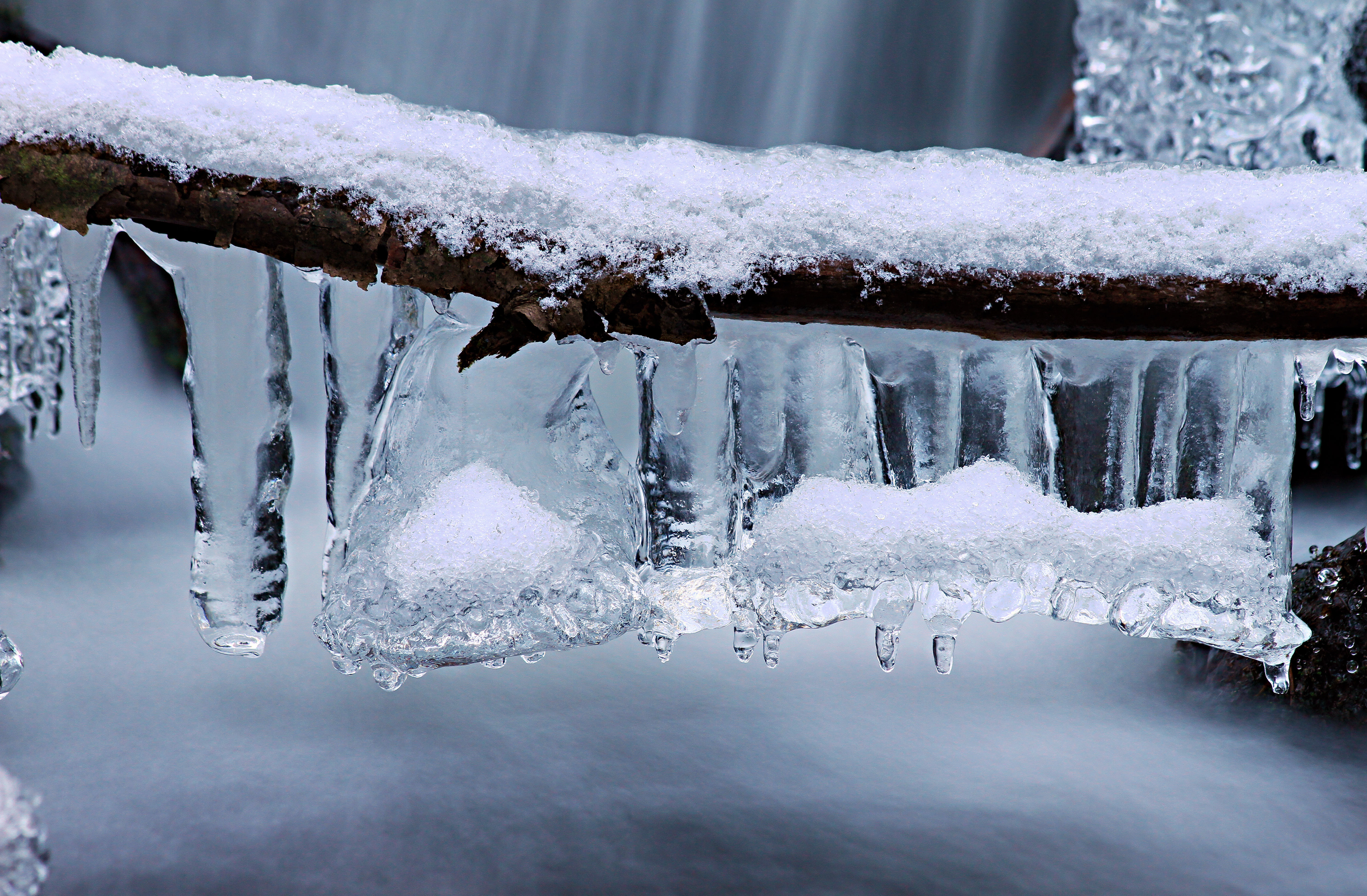 Icicles hanging from a branch