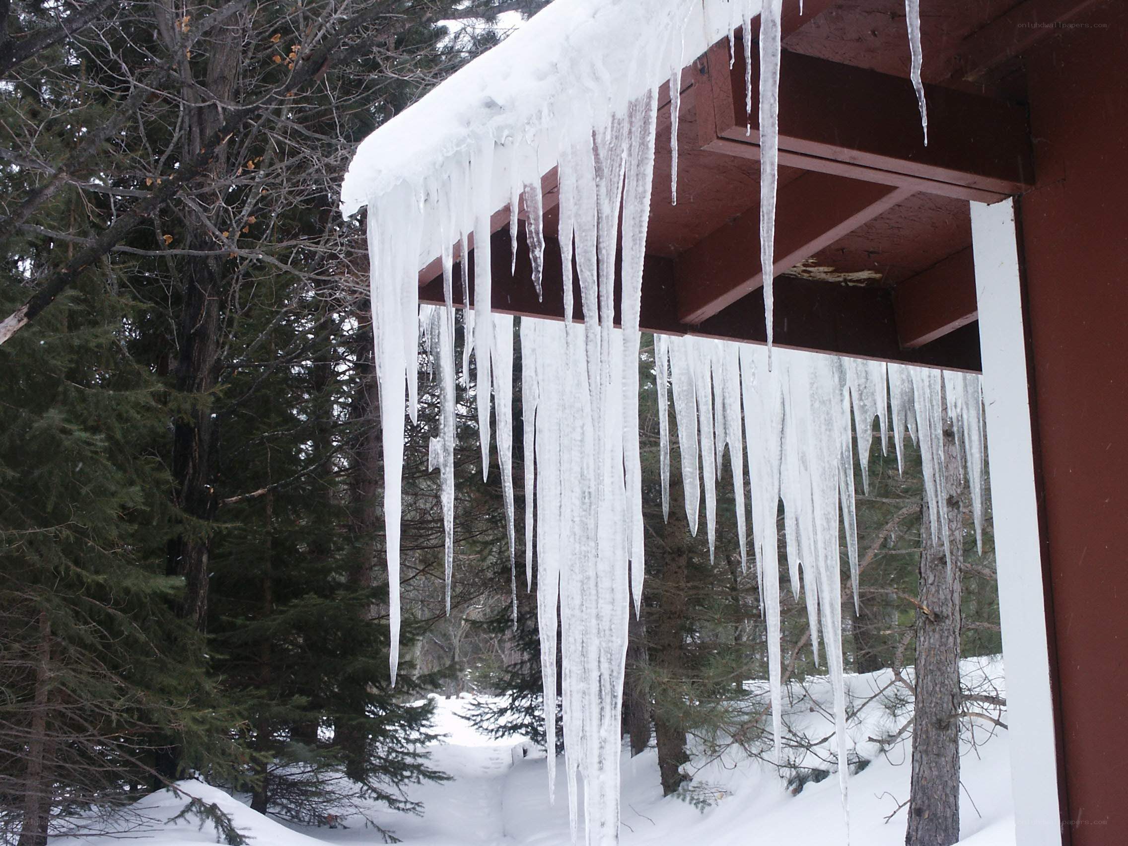 Icicles hanging from a porch