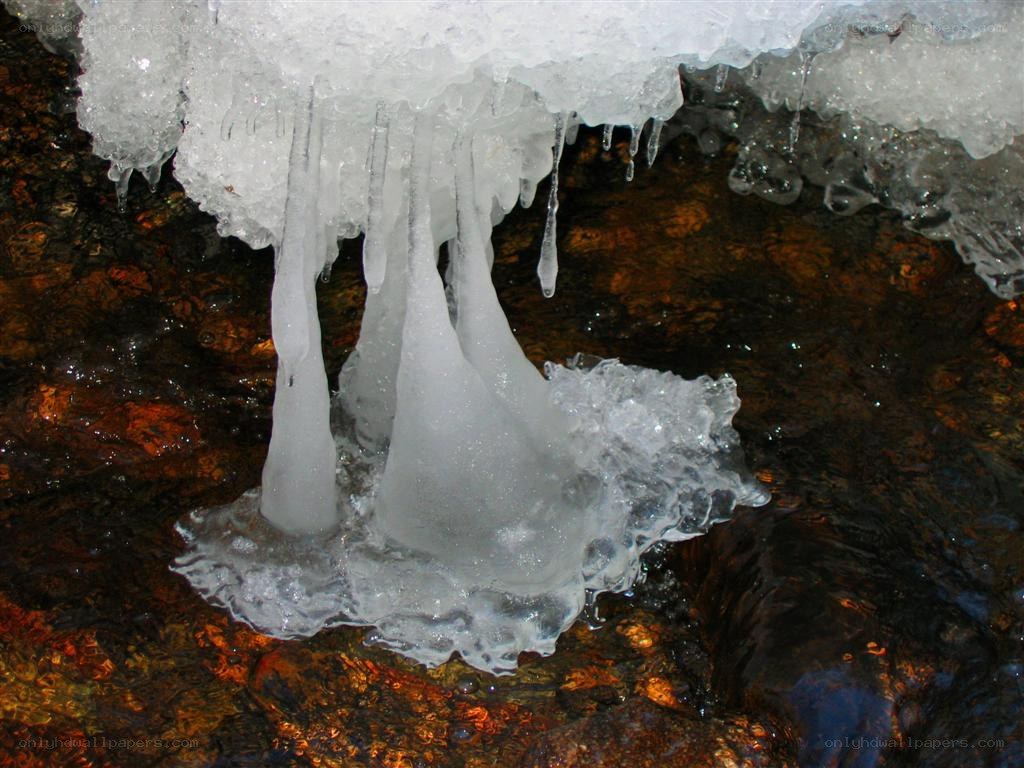 Icicles hanging from a rock