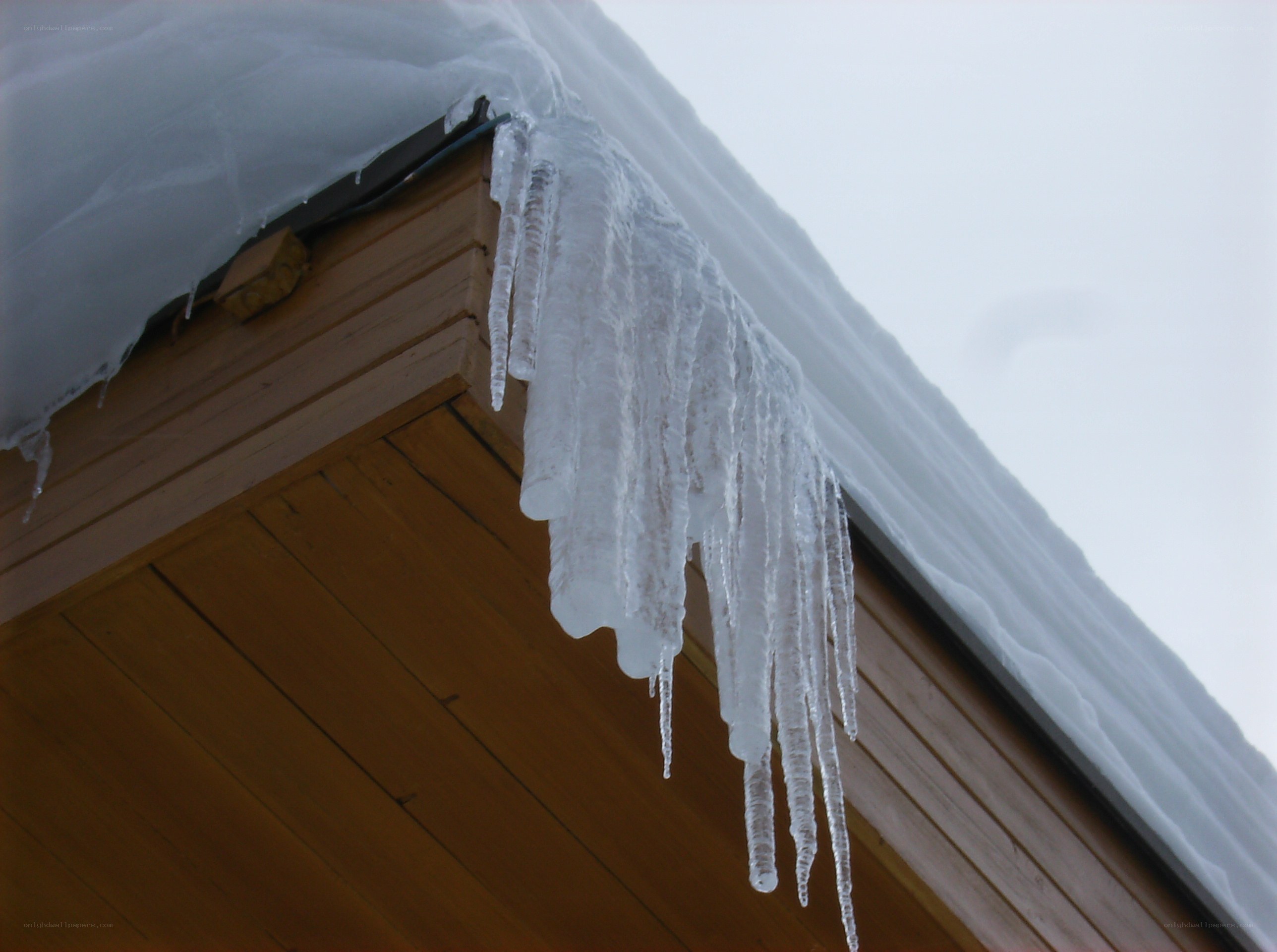 Icicles hanging from a roof