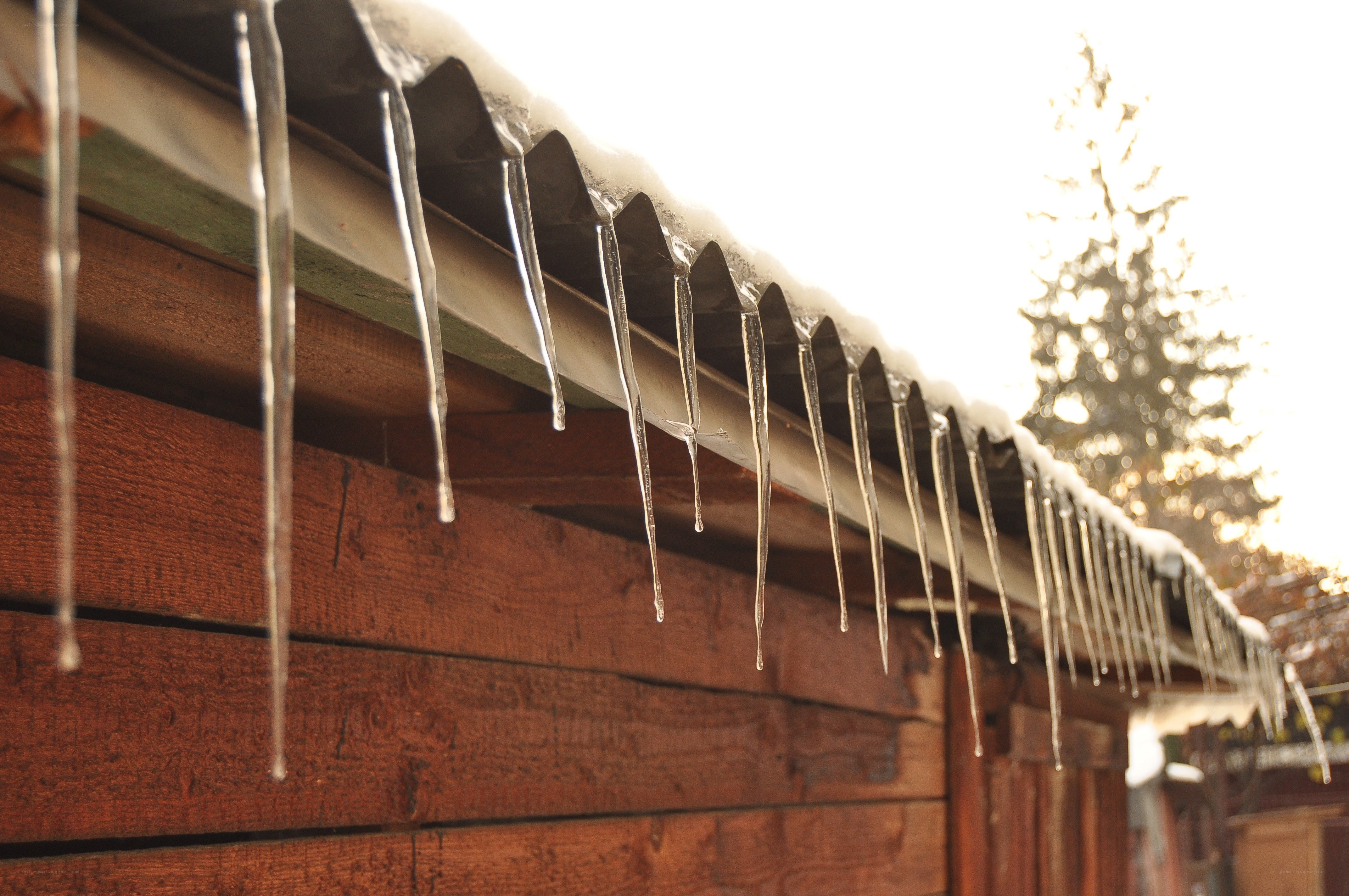 Icicles hanging from a roof