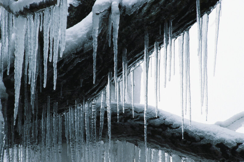 Icicles hanging from a tree