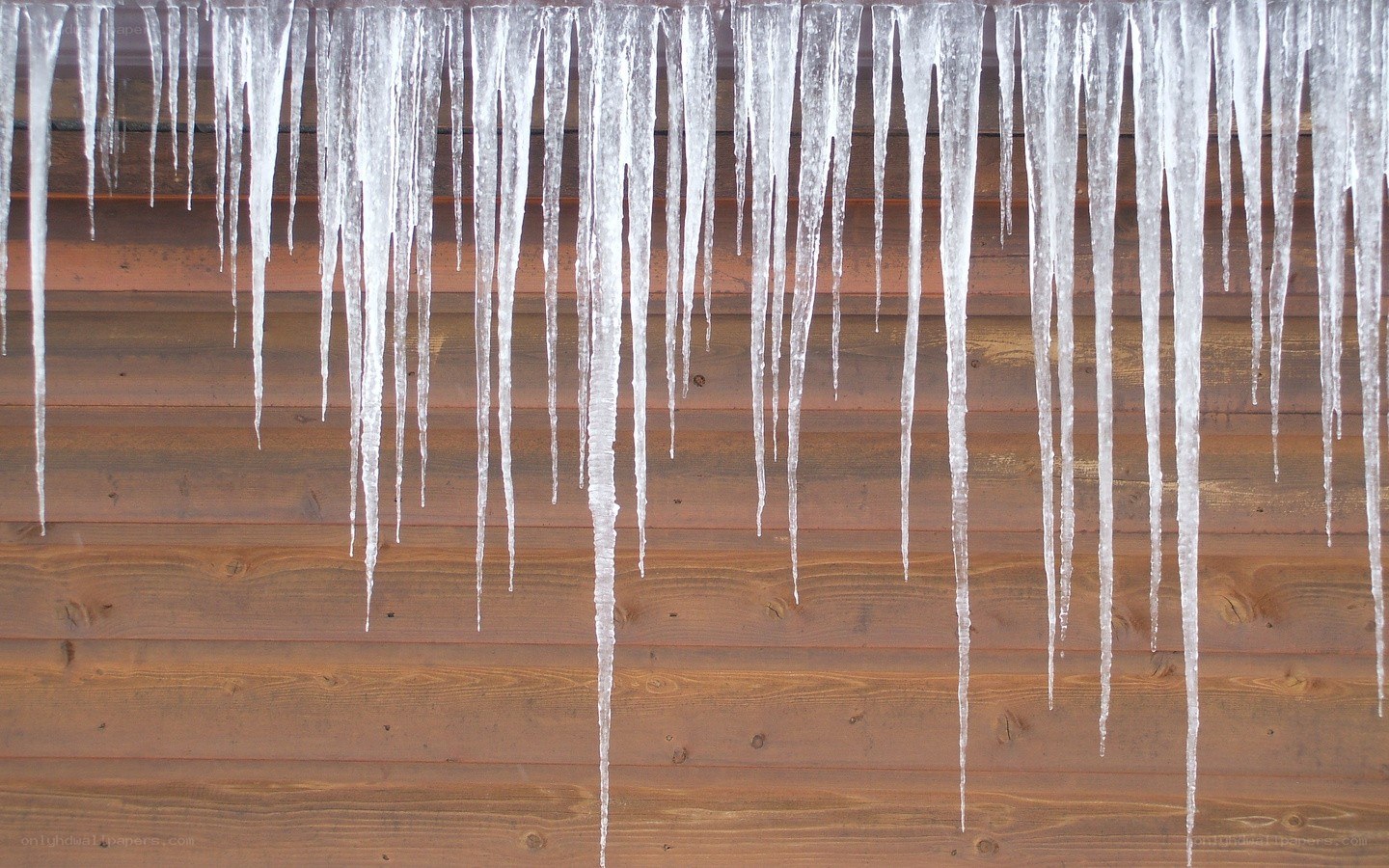 Icicles hanging from a wooden wall