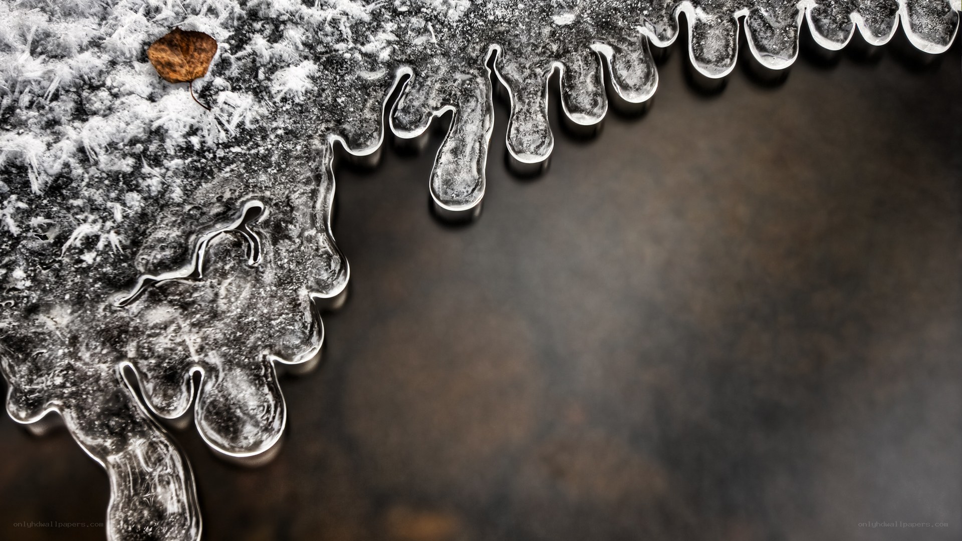 Icicles hanging from frozen surface