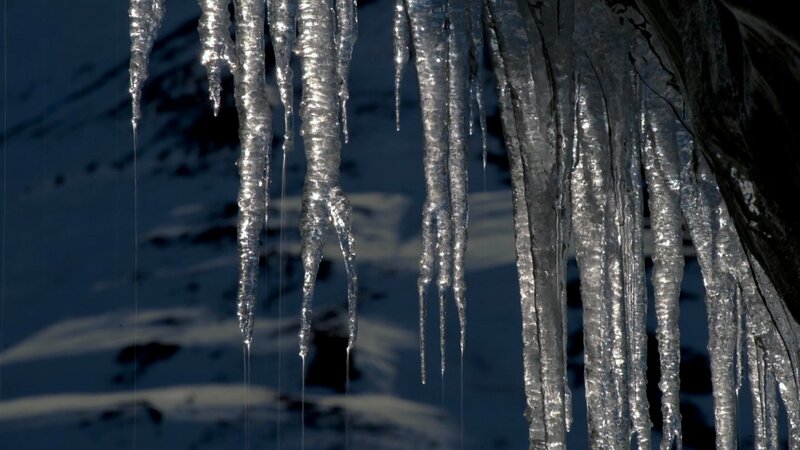 Icicles hanging in sunlight