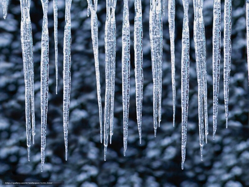 Icicles hanging in winter