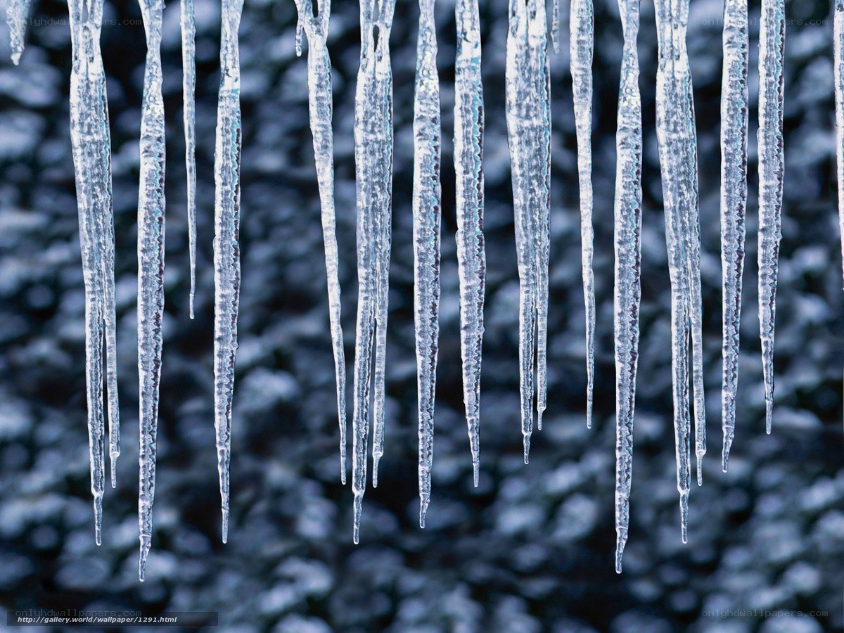 Icicles hanging in winter