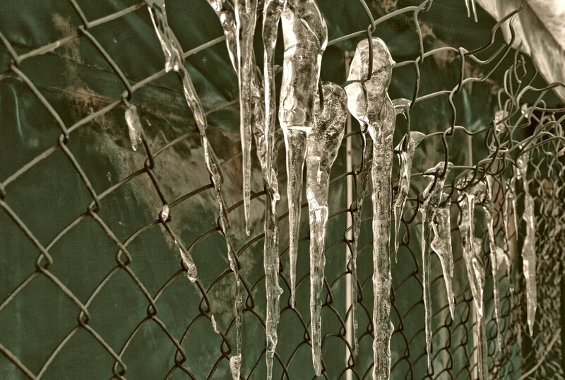 Icicles hanging on a chain-link fence