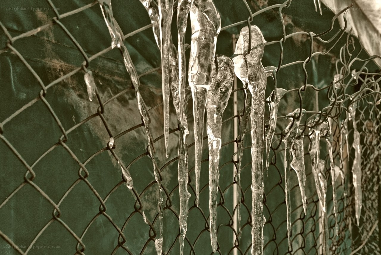 Icicles hanging on a chain-link fence