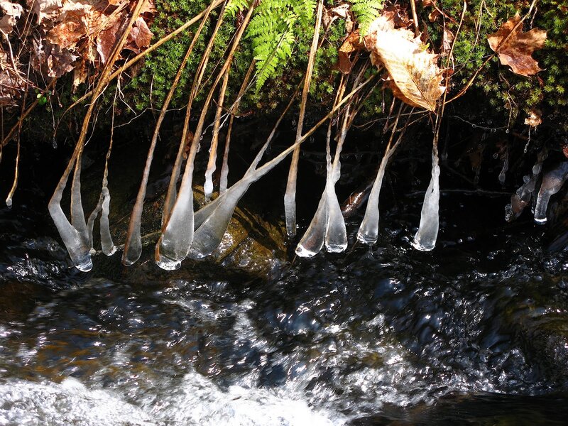 Icicles hanging over a stream