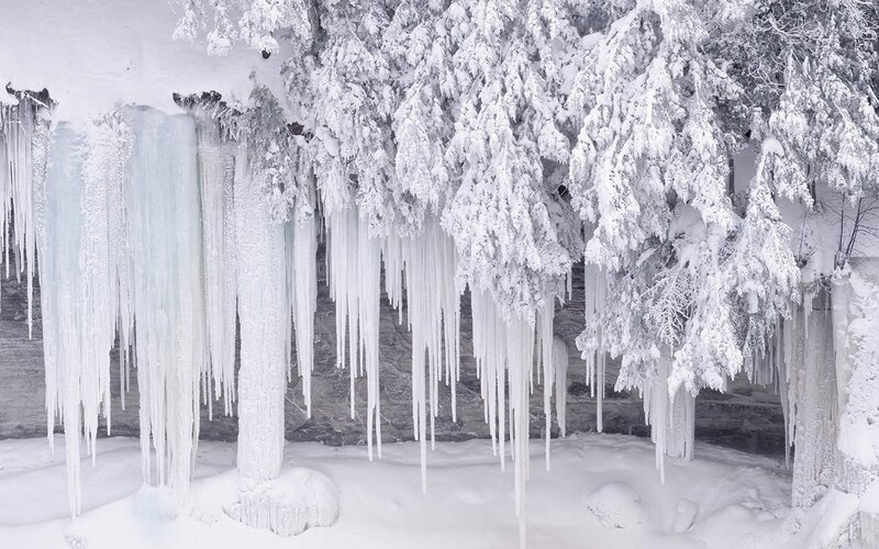 Icicles in a snowy forest