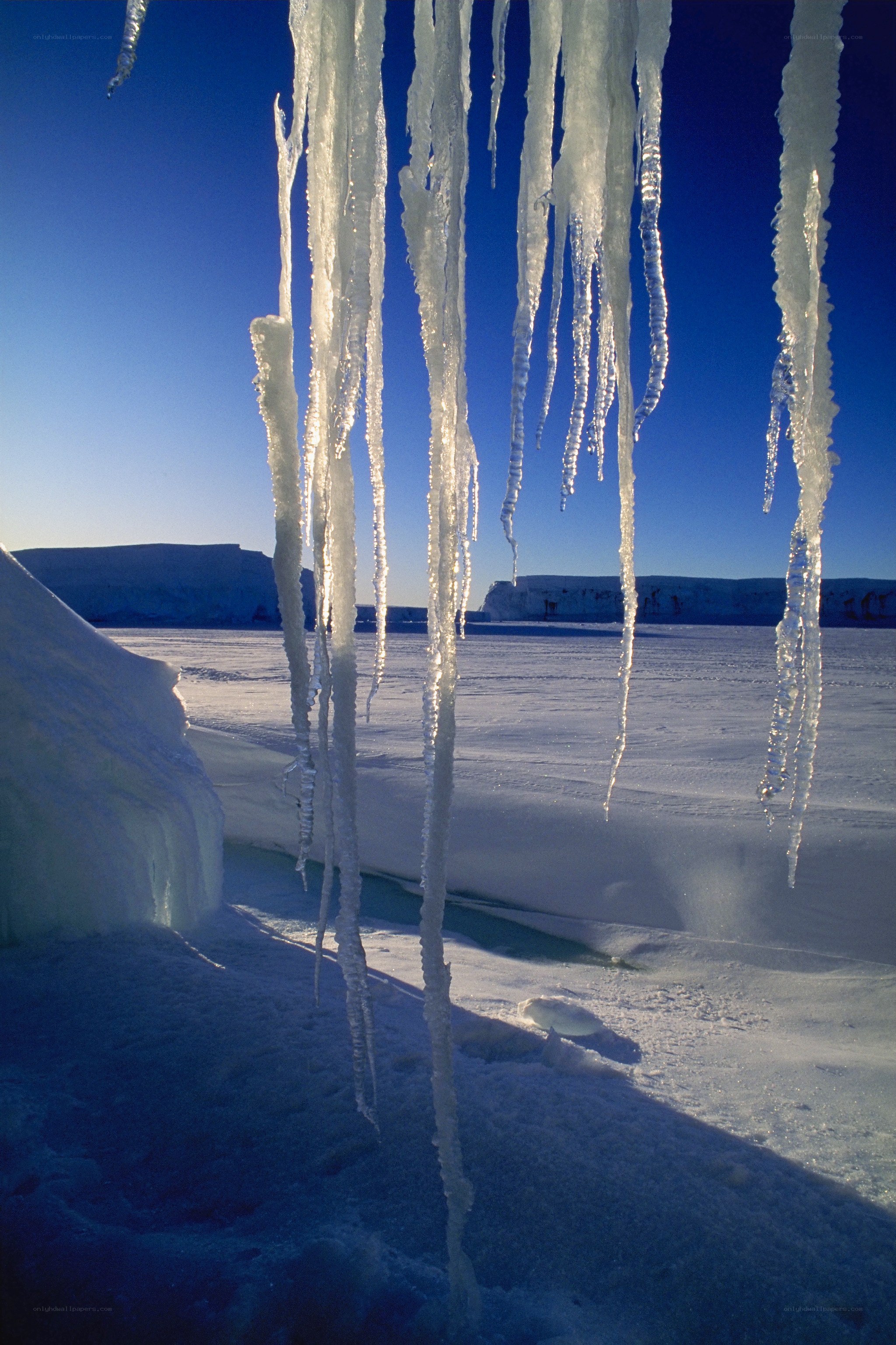 Icicles in a snowy landscape