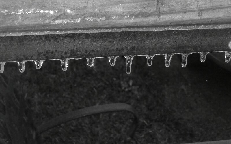 Icicles Melting from Gutter