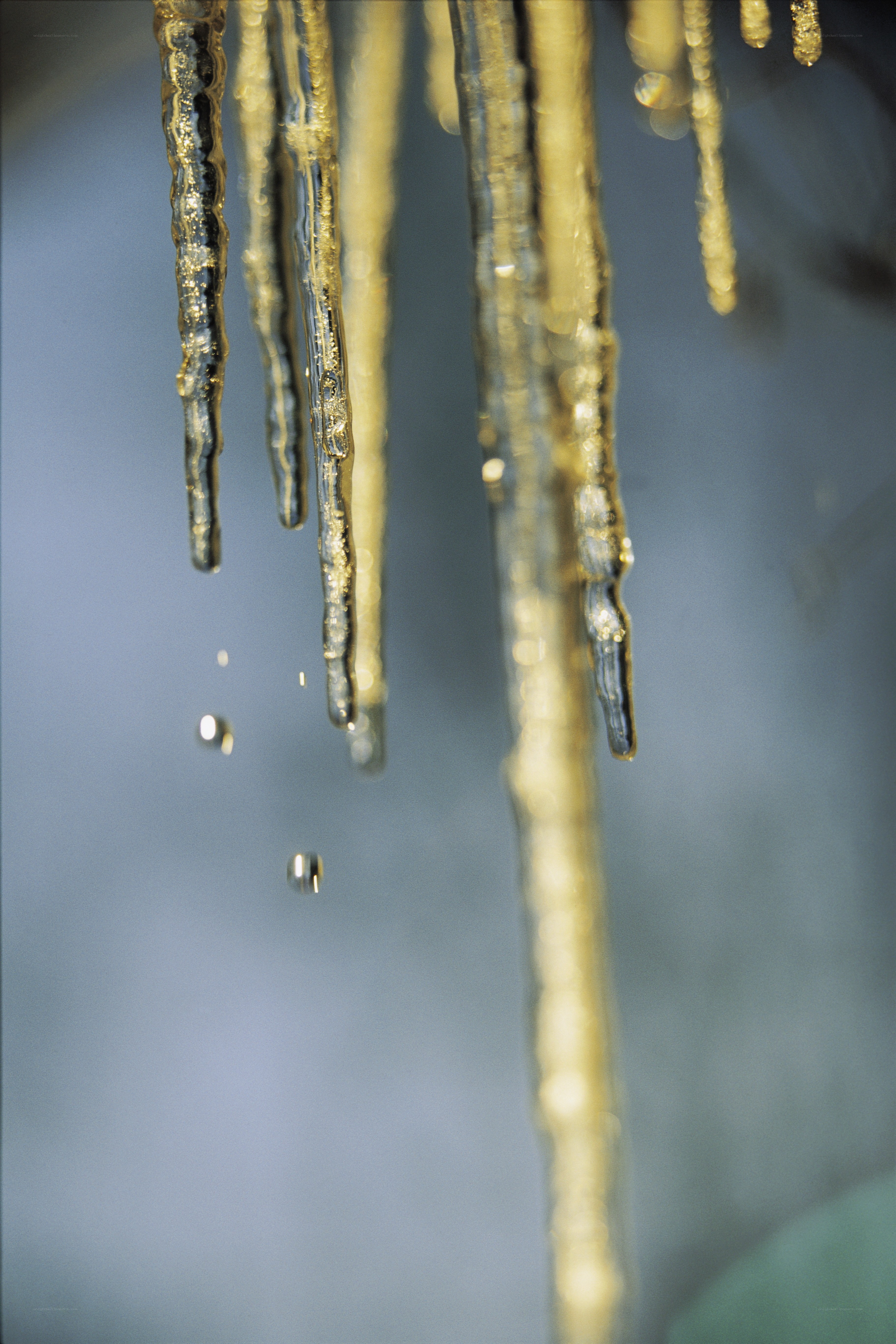 Icicles melting in sunlight