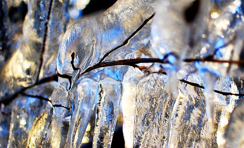 Icicles on a Branch — Blue
